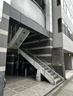 ミズの外観
