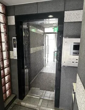 ミズの外観