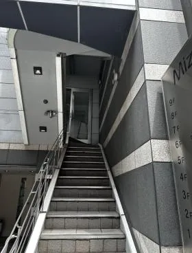 ミズの外観