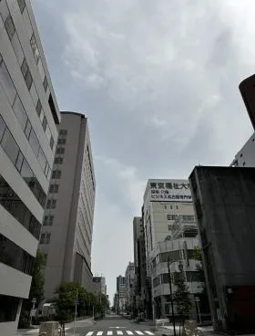 ミズの外観