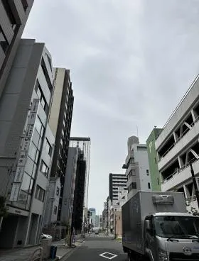 ミズの外観