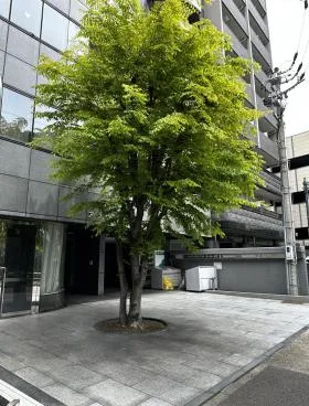 アクセス丸の内の外観