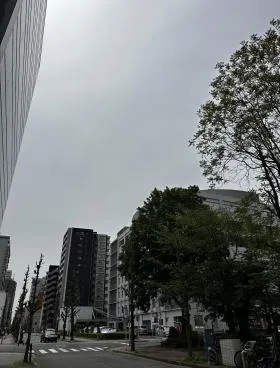 ヤガミの外観