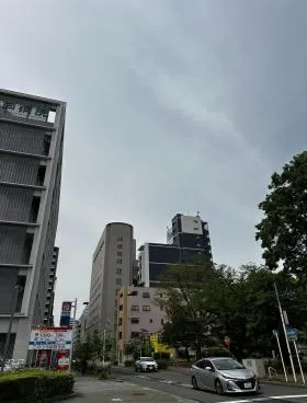 ヤガミの外観