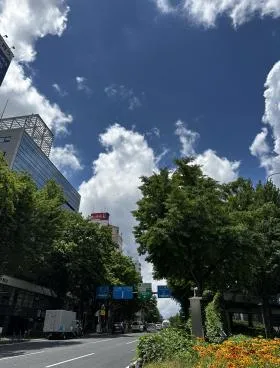 セイジョウの外観