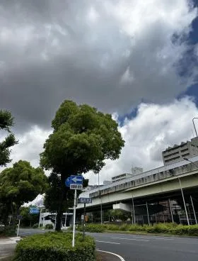 加賀の外観