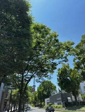 1091の外観