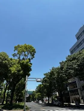 ハイエスト久屋の外観