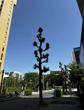伏見フロントの外観