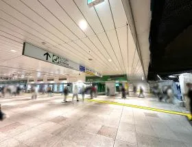 新宿駅からもアクセスしやすい