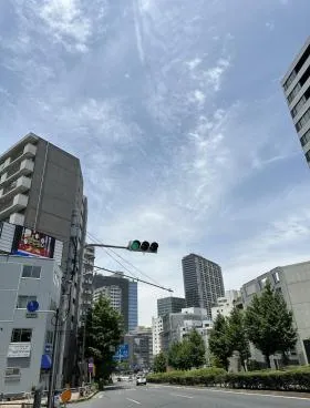 プライムメゾン本郷の外観
