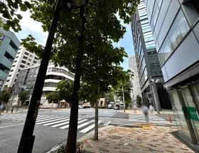 横断歩道が現れたら反対側に渡る